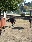 Gut Friedstein 2018 103 1
