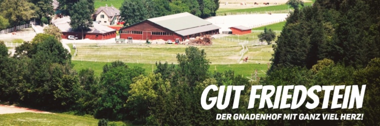 Gut Friedstein - Der Gnadenhof mit ganz viel Herz!